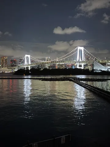 水面にまで映えを求めすぎた夜