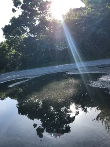 射し込む光と水面の夢
