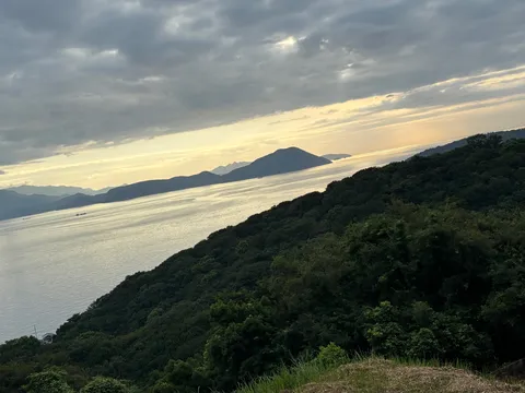 静寂の海、緑の囁き