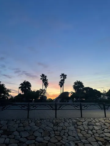 ヤシの木と夕焼けのコントラスト