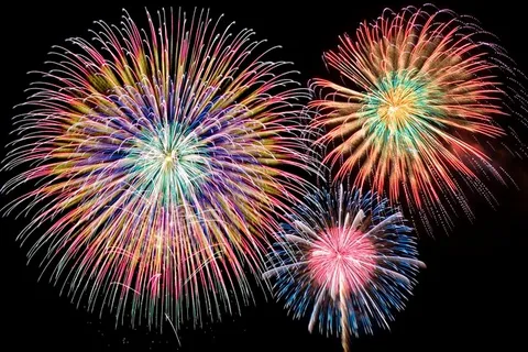夜空を彩る大輪の華
