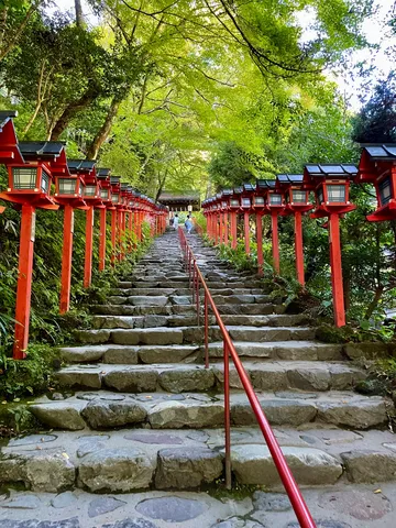 鮮やかな灯篭の道