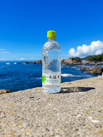 青と緑のコントラスト、海辺のひととき