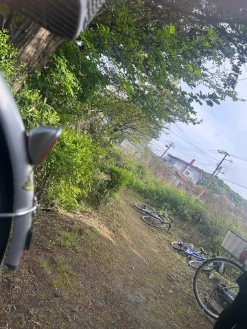 草むらに置かれた自転車たち