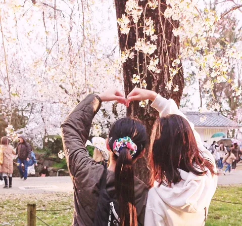 桜と紡ぐ愛の形