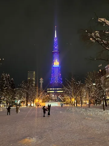 白銀の世界、輝く夜の塔