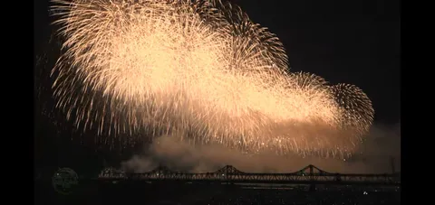 夜空を彩る光のシャワー