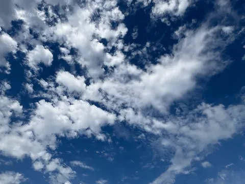 綿菓子の海原、青い空