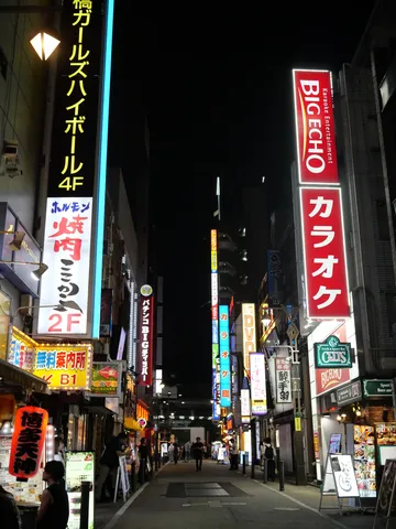 ネオンきらめく、夜の欲望街
