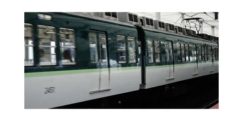 疾走する緑の車窓