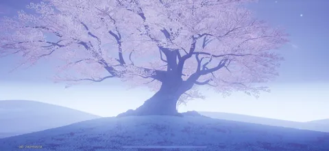 夢幻の桜、待ち合わせ場所？