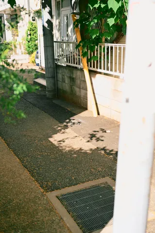 木漏れ日降り注ぐ舗道
