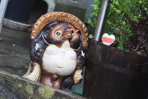 雨粒と狸の静かな対話