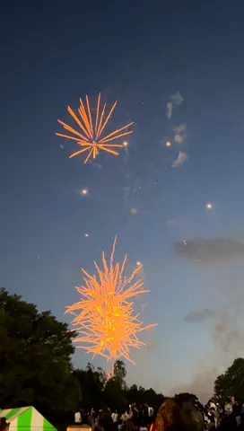 夜空を彩る、夏の日の花火