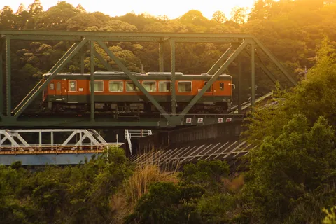 黄金色に輝く鉄橋と列車