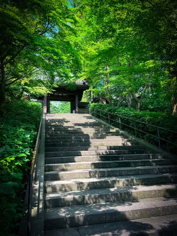 緑陰に誘われる石段