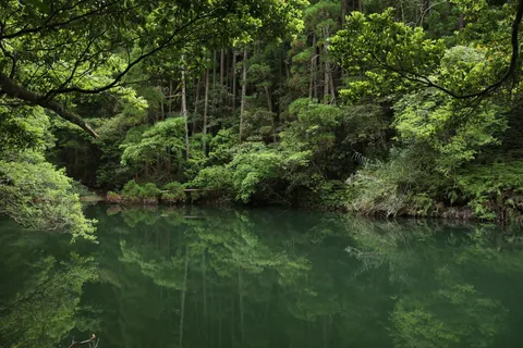 森と湖の静寂