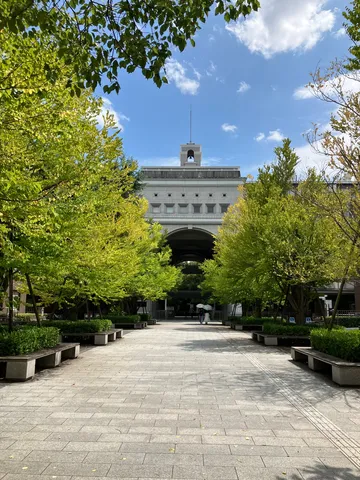 緑に包まれた、静かな学び舎への道