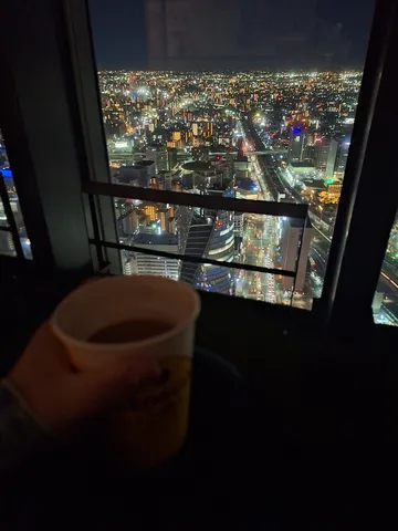 光の絨毯を見下ろす夜