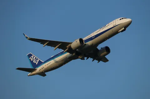 空へ舞い上がるANA機