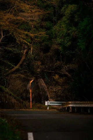 夜の山道のカーブミラー