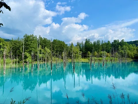 息をのむ、神秘の青い水面