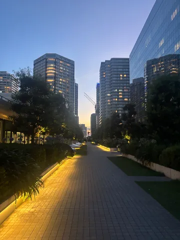 都会の夕暮れ、光の小道