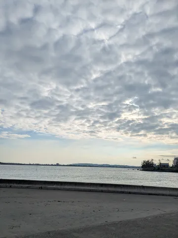 雲海に浮かぶ水平線