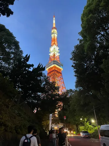 夜空に染まる塔の色