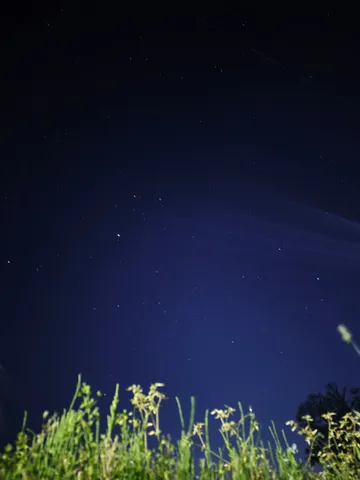 満天の星空と草花の競演