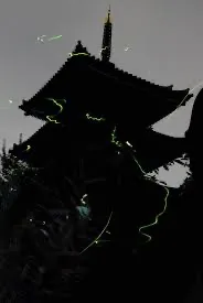 古刹を舞う光の道筋