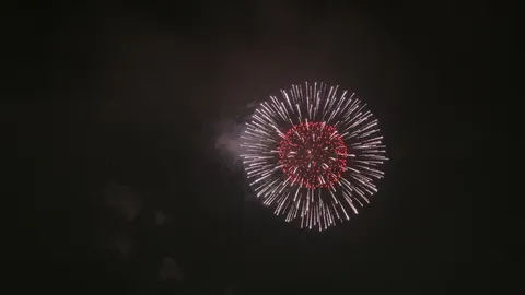 夜空に咲く、華麗なる光の花