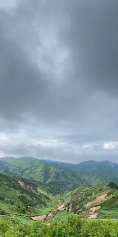 雲海に抱かれる山々の緑