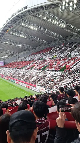 スタジアムの光と群衆
