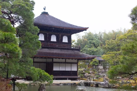 静寂を映す雨の庭園