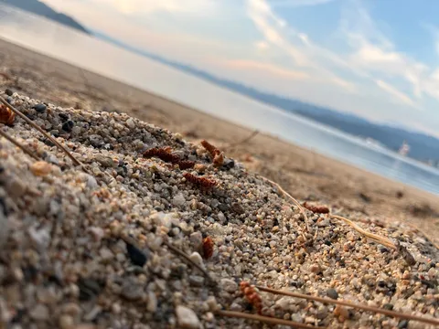 砂と海の静かな瞬間