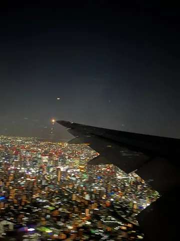 翼が見下ろす夜景の海