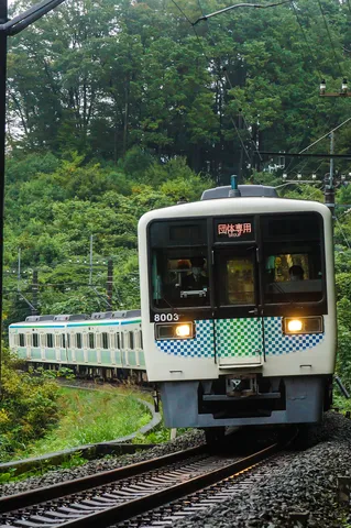 緑の中を駆ける団体専用列車