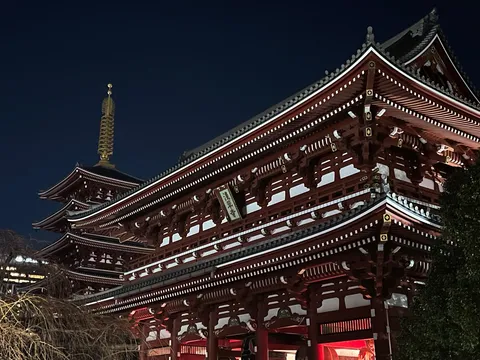 闇夜に浮かぶ五重塔と朱色の楼閣