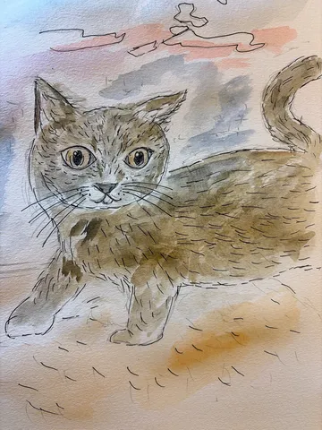 夕暮れの猫のひととき