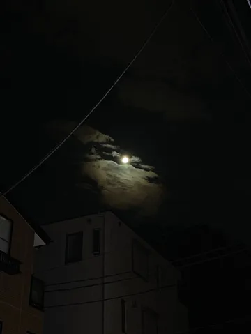 夜空を照らす月と街灯