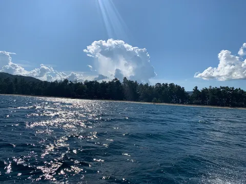 湖と木々に光る波紋