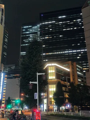 ネオンと高層ビルの競演