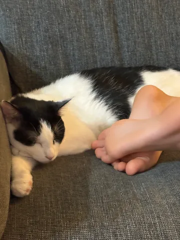 眠りと触れ合う静かな時間