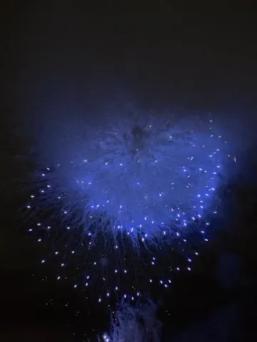 夜空に広がる蒼い花火