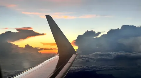 夕空を切る翼の風景