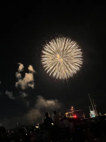 夜空に咲く大輪の花