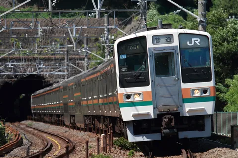 トンネルへ向かう光の列車