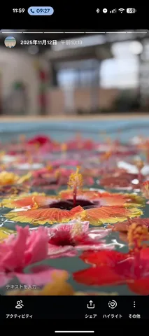 水面を彩る南国の花