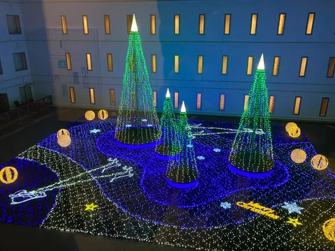 青い光の森と冬の星